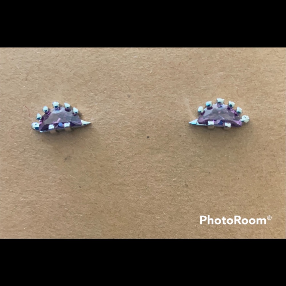 Dinosaurs Studs Earrings